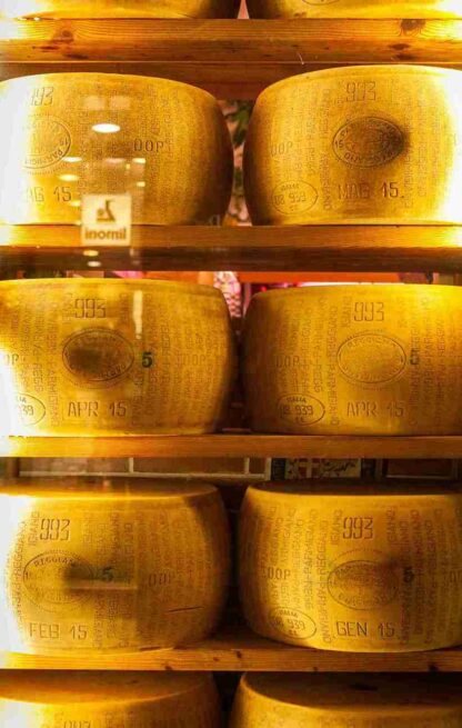 Golden Brie Bliss