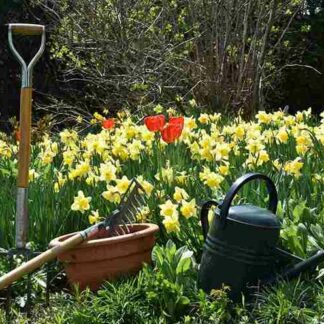 EcoGardener Sustainable Tool