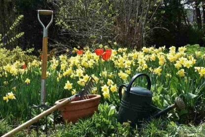 EcoGardener Sustainable Tool
